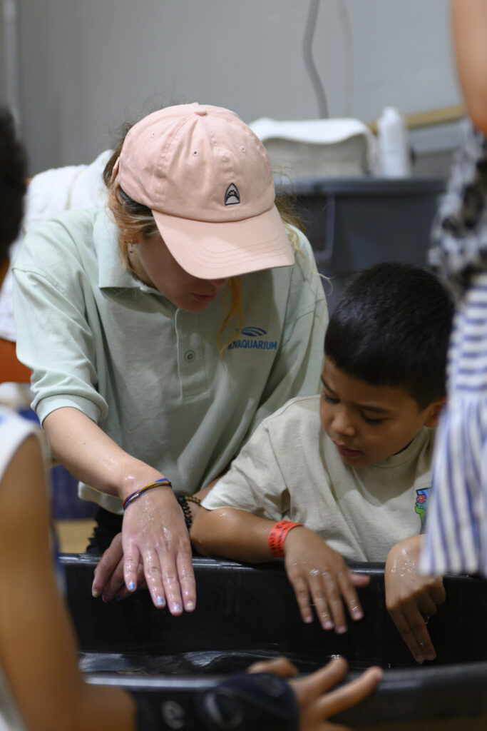 Camp Aquarium day